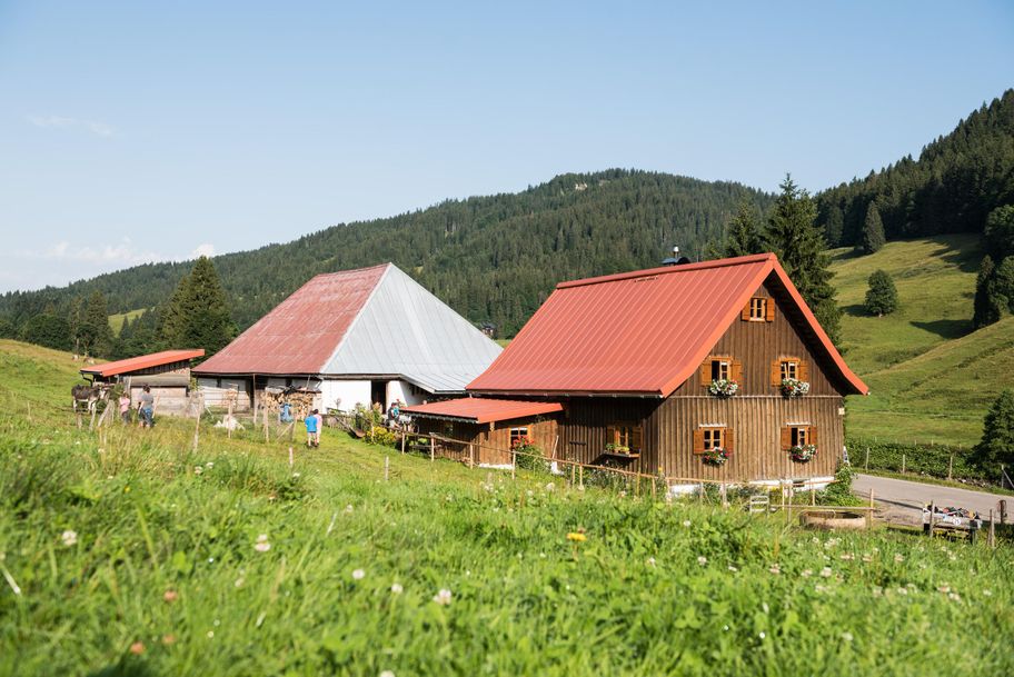 Alpe Schattwald im Sommer