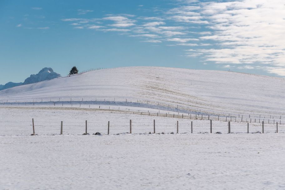 Verschneite Hügellandschaft im Ostallgäuer Voralpenland mit Blick auf den Säuling.