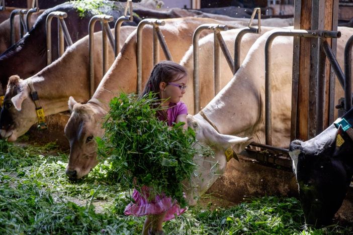 Bei uns werden Sie staunen, wie fleißig Ihre Kinder plötzlich sind