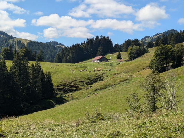 Alpe Remmelegg