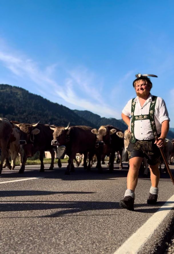 Hirte beim Einzug - Viehscheid in Balderschwang