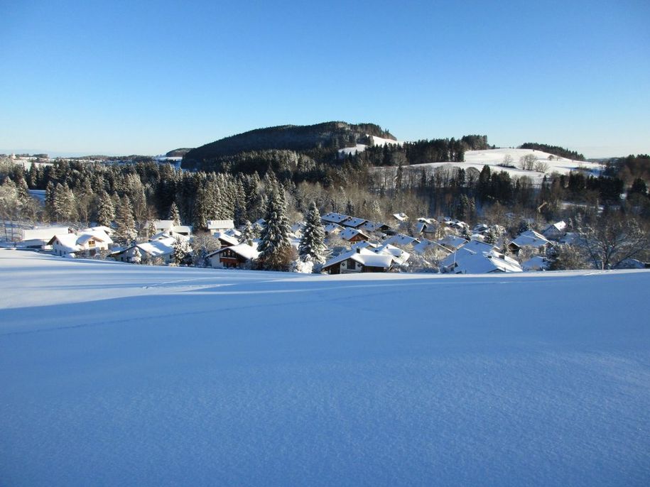 Ahegg im Winter