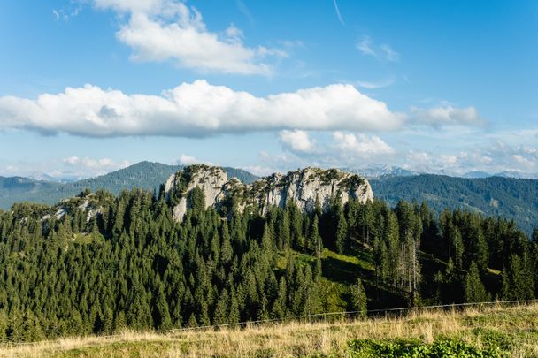 Bier-Genusswanderweg "Von Kranzegg auf den Grüntengrat" in Rettenberg