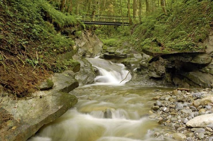 Bäche, Schluchten, Moore - über die Hausbachklamm zum Wildrosenmoos - Westallgäuer Wasserweg 9