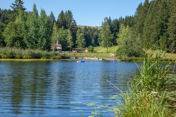 Faulensee