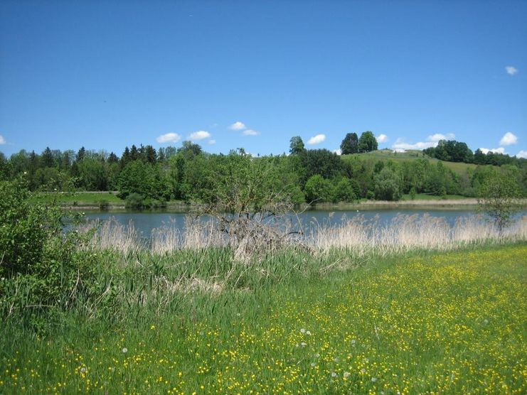 Bachtelweiher