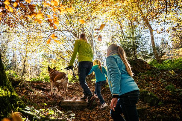 Wandern im Herbst in den Hörnerdörfern