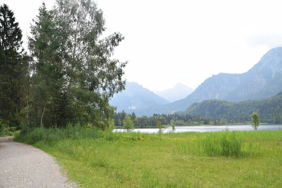 Schwansee mit Schloss Neuschwanstein und Schloss Hohenschwangau