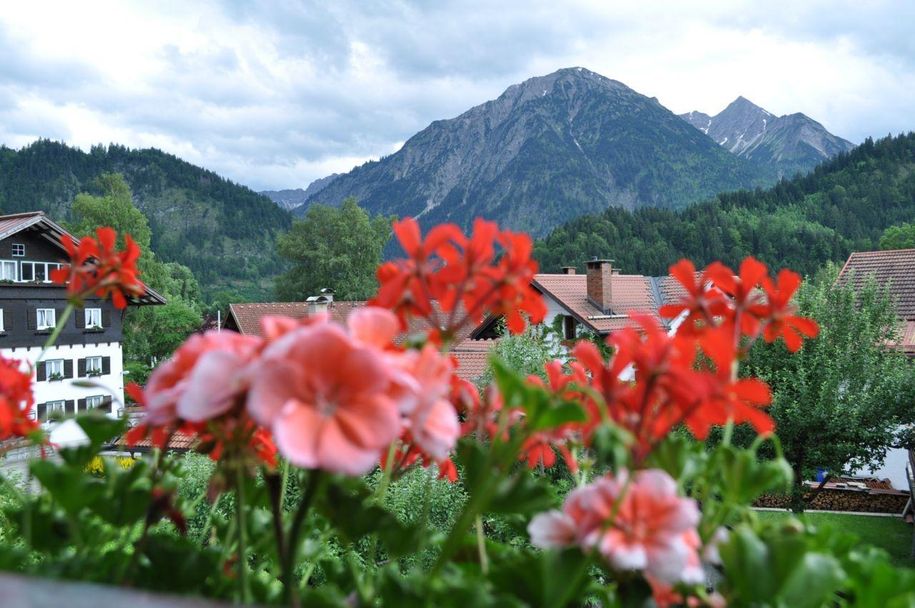 Ferienwohnung Ausblick