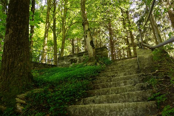 Allgäuer Königsalpenroute - Etappe 5: Roßhaupten-Lechbruck am See