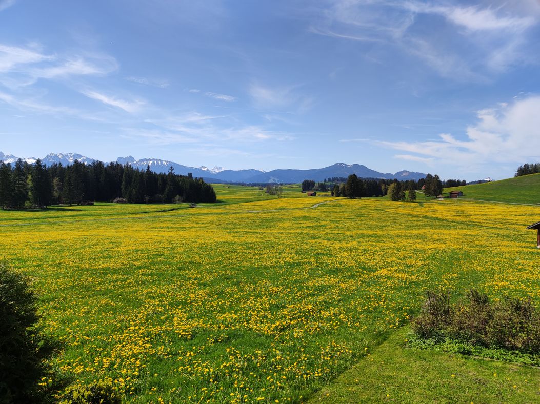 Aussicht im FrÃ¼hling