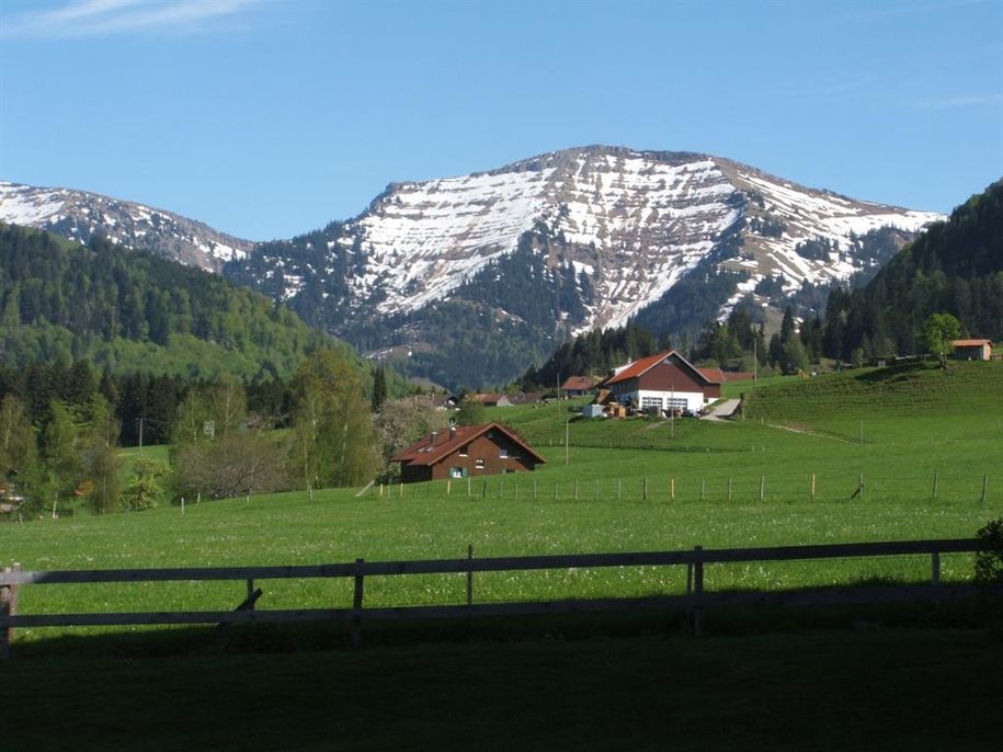 Aussicht auf den Hochgrat