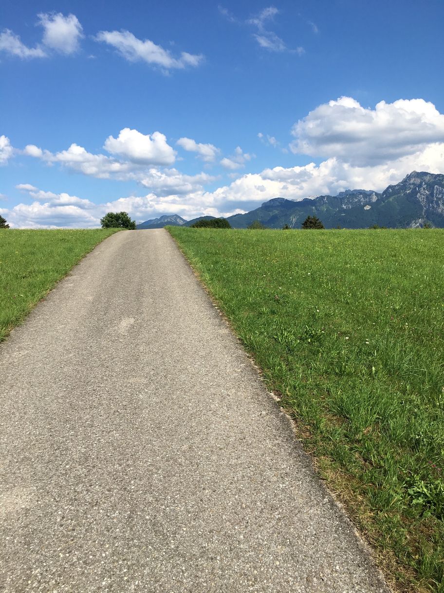 Weg zum Aussichtspunkt Bleik