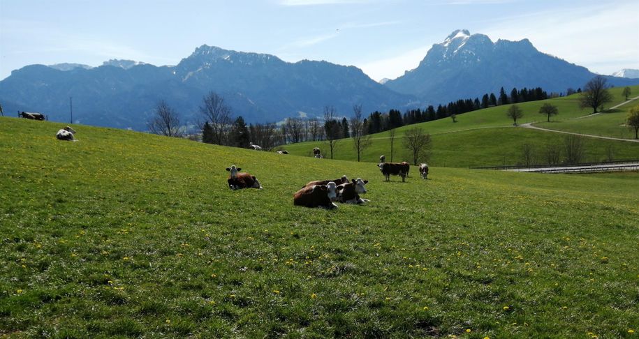 Ausblick