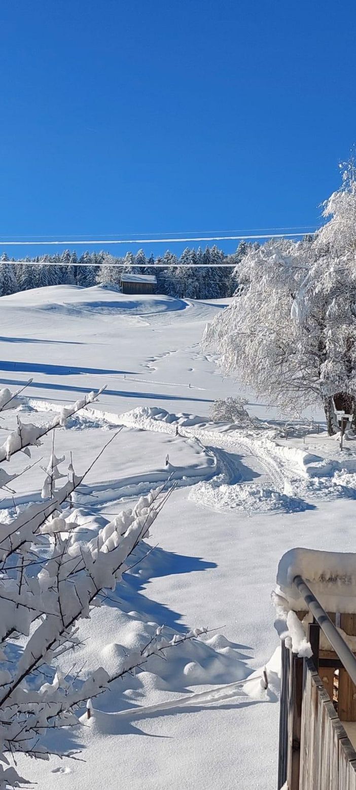 Aussicht vom Balkon von "Mein Traumblick"