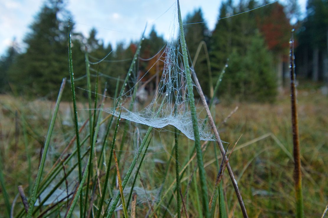 Fairnetzt_ Florian Heinl_klein