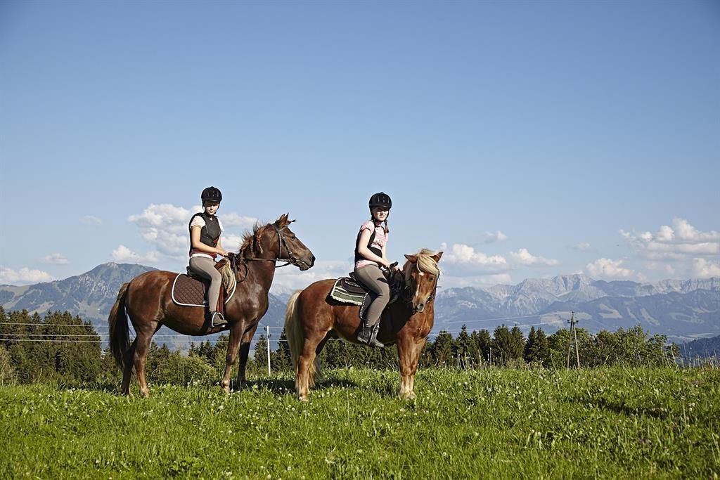 Unsere Ponys Jenny und Balu