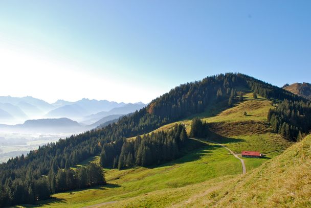 Blick vom Ofterschwanger Horn auf Sigiswanger Horn und Alpe Fahnengehren