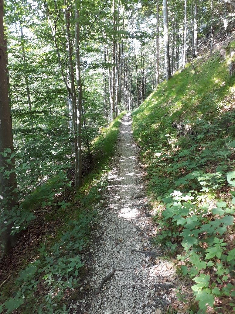 Hahnenkopfweg Richtung Zwei-Seen-Blick