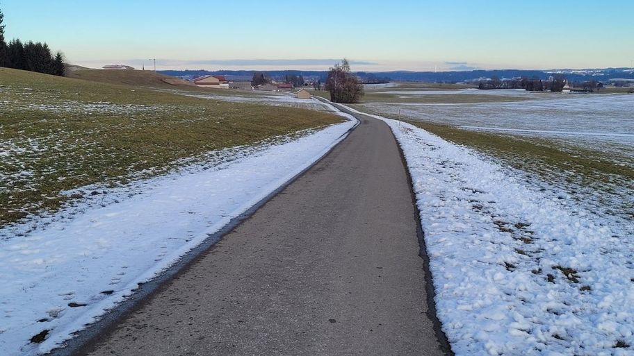 Wiesenweg zum Elbsee und zurück