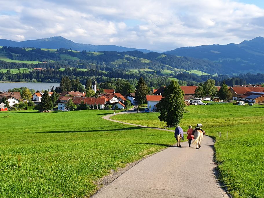Blick über den Rottachsee und Moosbach