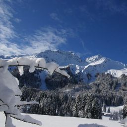 Bild 80