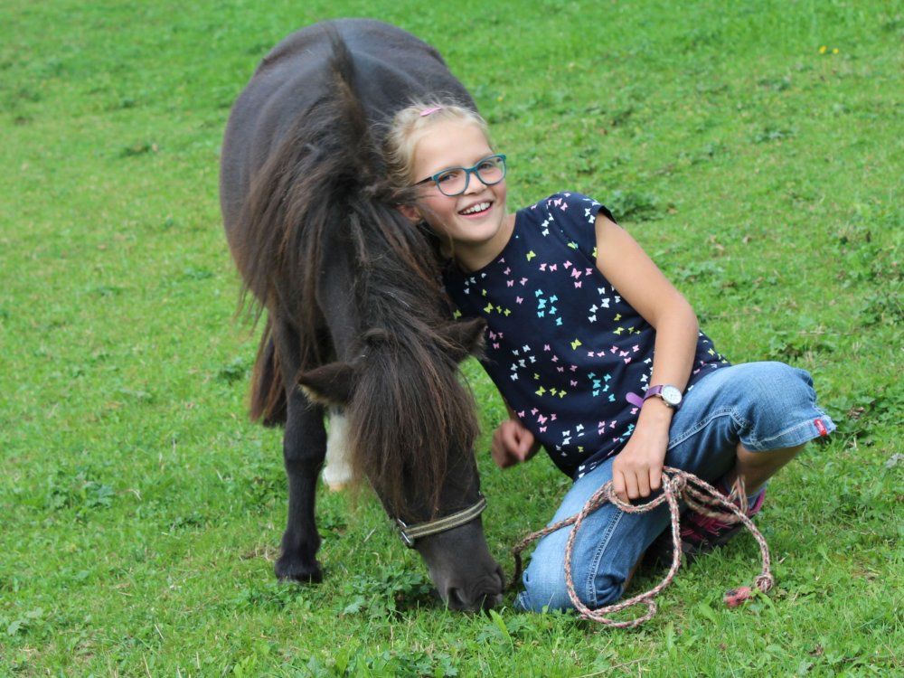 ein Pony zum Kuscheln