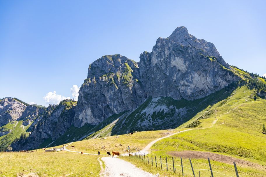 Der Aggenstein