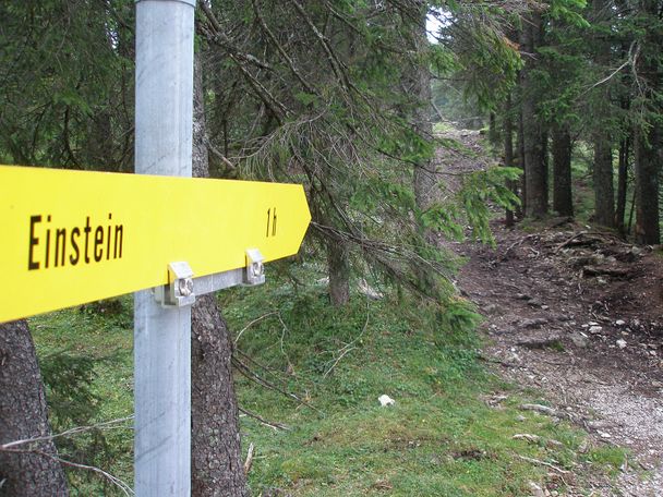 Zum Einstein