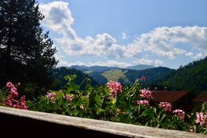 Ausblick vom Balkon