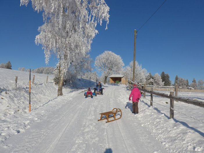 Schlittenbahn