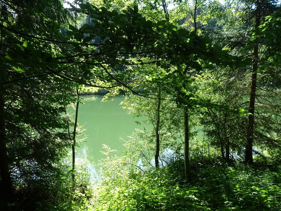 Blaichach - Gunzesried: Haldertobel