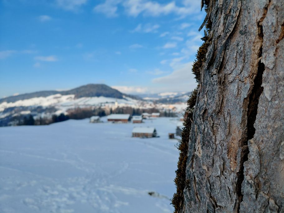 Winterwanderung rund um Hittisau
