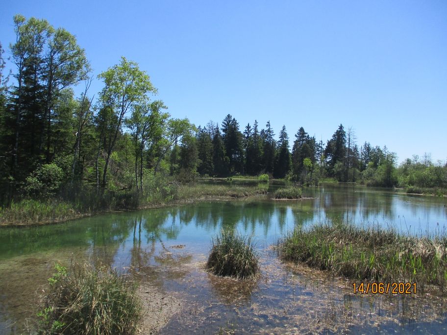 Aussichtspunkt Haidgauer Quellseen