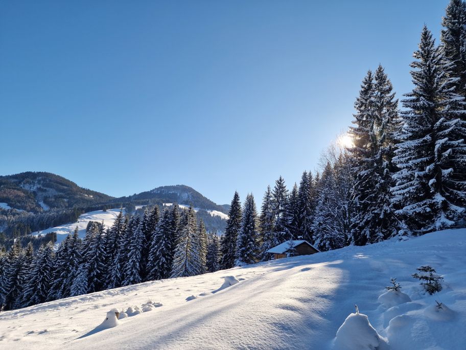 Auf dem Weg hinunter zur Buhl's Alpe