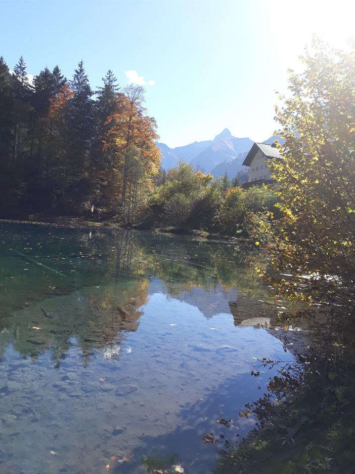 Flusslauf im Allgäu