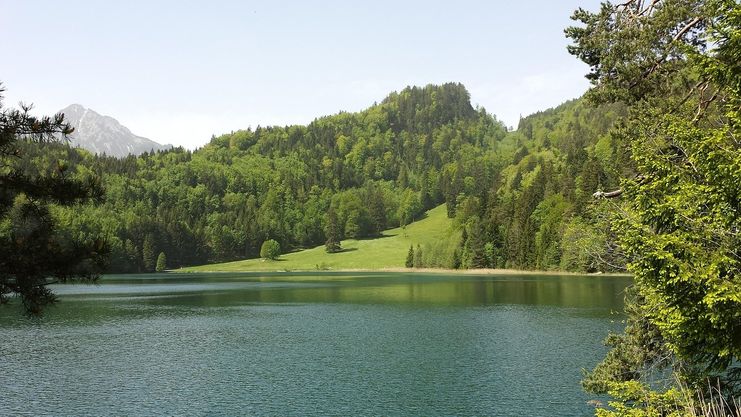 Alatsee
