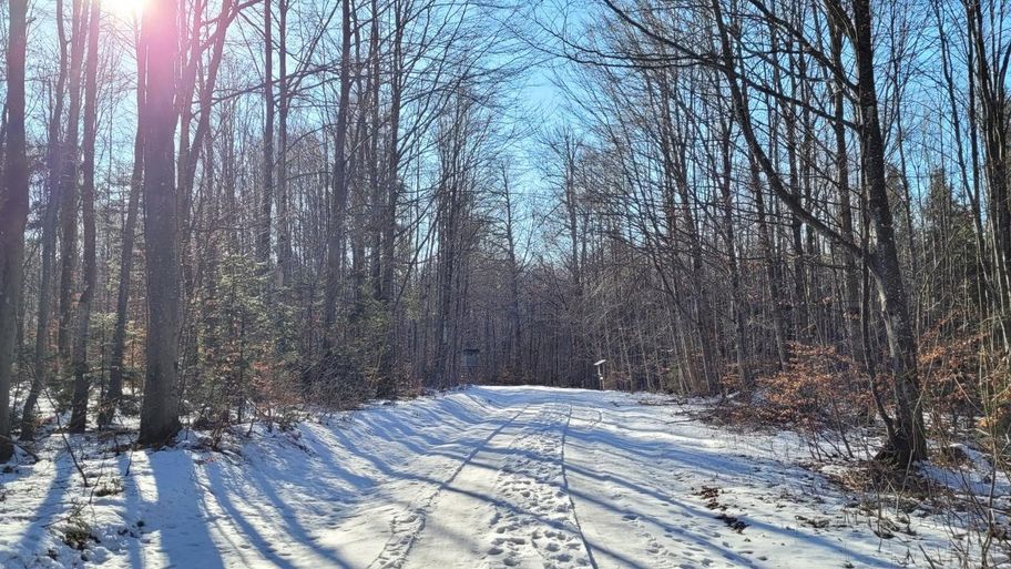 Vogellehrpfad Friesenried