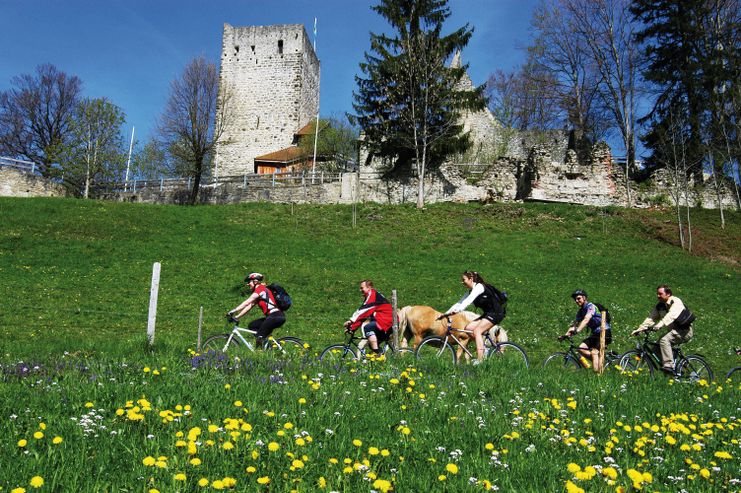 Die Burgruine wacht über den Ort.