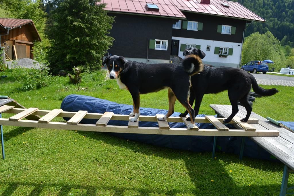 Paula und Mika haben Spass