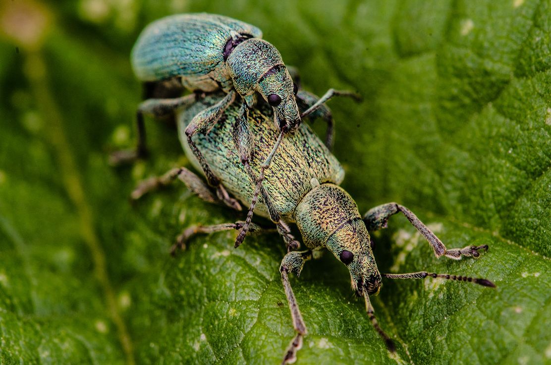 08062025-Wozu-der-Reichtum-Manfred-Guertler-XS