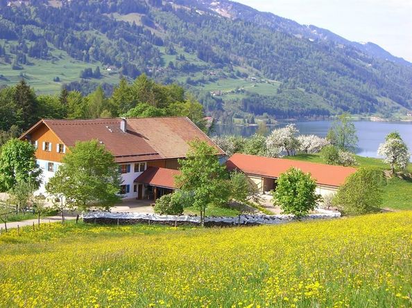 Haus Frühling