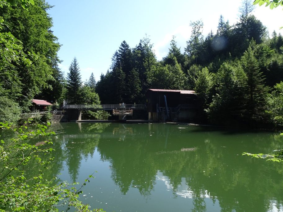 Blaichach - Gunzesried: Haldertobel