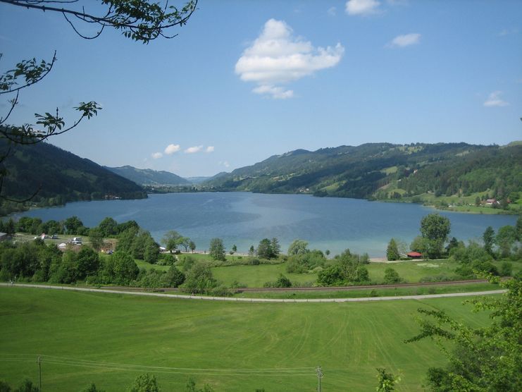 Der Große Alpsee