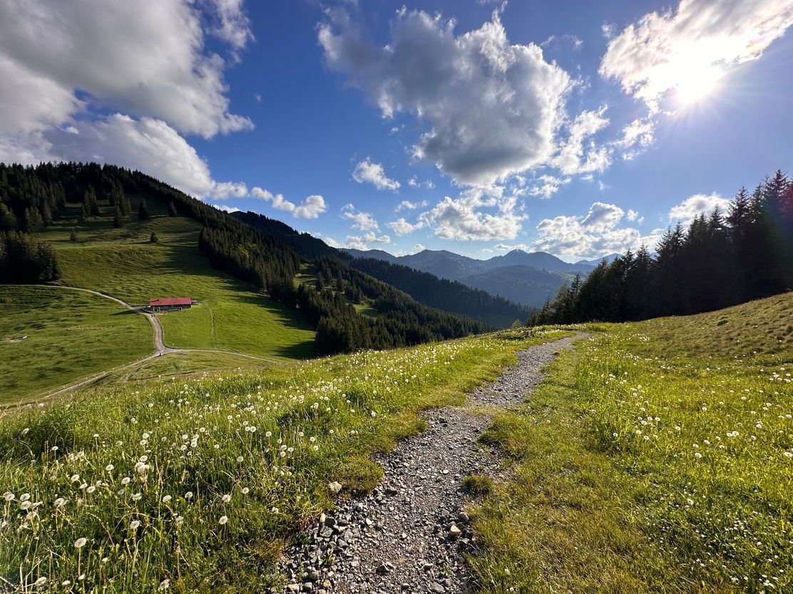 Blick Richtung Fahnengehrenalpe