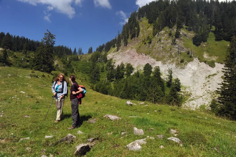 Alles fließt in Sibratsgfäll - Der Erdrutsch am Feuerstätterkopf