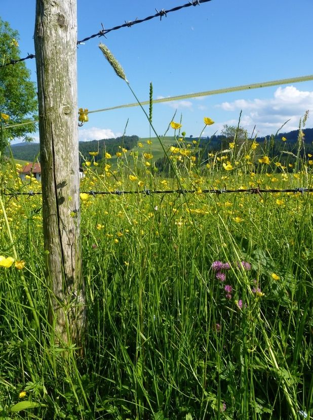 Im Urlaub mal die kleinen Dingen im Leben sehen