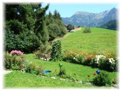 Sommer Garten