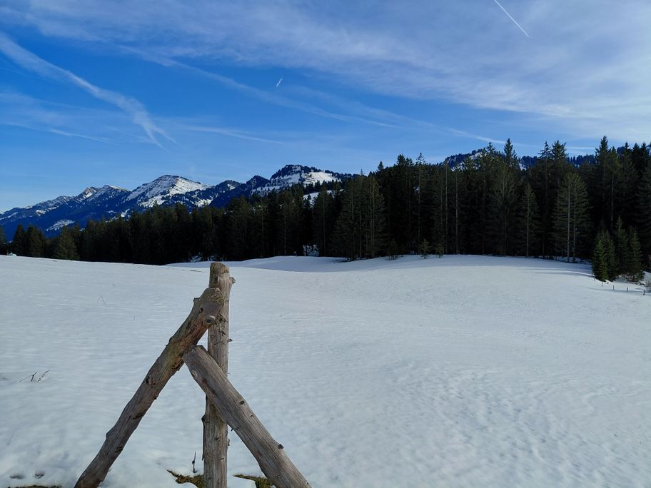 Kleine Winterwanderung im Kojenmoos