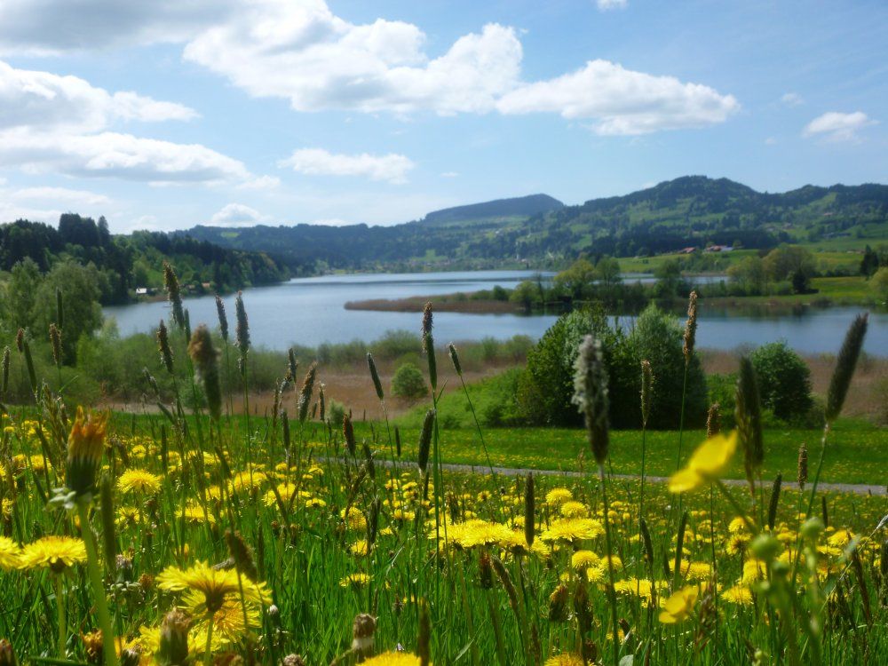 Niedersonthofener See